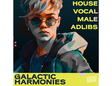 Vocal Roads Galatic Harmonies - House Vocal Male Adlibs