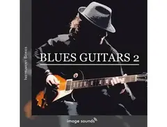 Image Sounds Blues Guitars 2 main image
