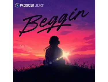 Producer Loops Beggin'