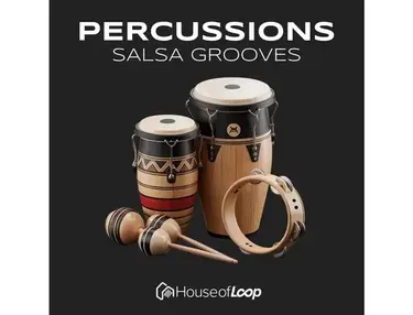 House Of Loop Percussions Salsa Grooves