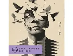 Wavetick LoFi House Drums main image