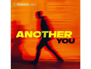 Producer Loops Another You