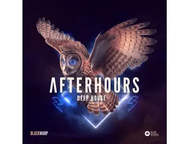 Black Octopus Afterhours Deep House by Blackwarp