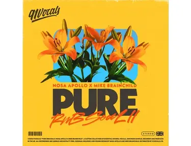 91Vocals Pure RnB Soul II: Nosa Apollo x Mike Brainchild