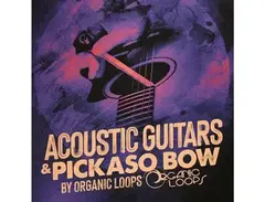 Organic Loops Acoustic Guitars & Pickaso Bow main image