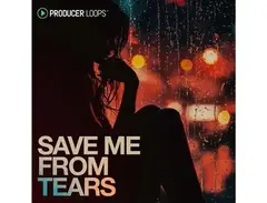 Producer Loops Save Me From Tears main image