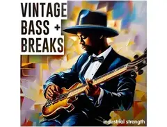 Industrial Strength Vintage Bass & Breaks main image