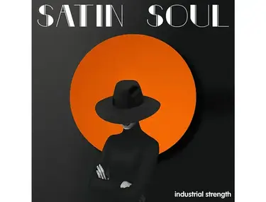 Industrial Strength Satin Soul