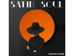 Industrial Strength Satin Soul main image
