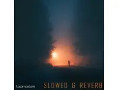 Loopmasters Slowed & Reverb main image