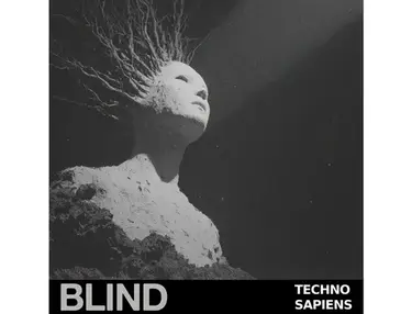 Blind Audio Techno Sapiens