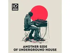 IQ Samples Another Side of Underground House main image