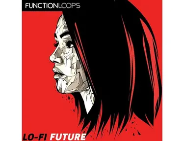Function Loops Lo-Fi Future