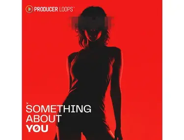 Producer Loops Something About You