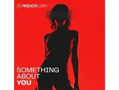 Producer Loops Something About You main image