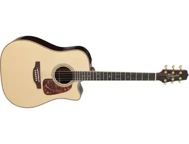 Takamine Pro Series P7DC