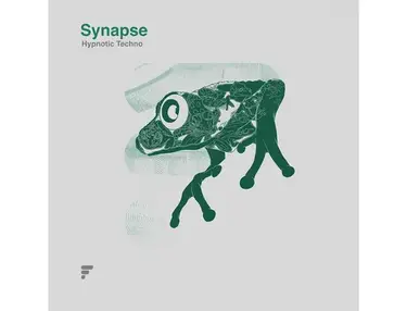 Form Audioworks Synapse