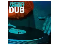 Renegade Audio Ambient Downtempo Dub Vol. 1 main image