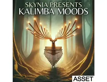 Industrial Strength Skynia - Kalimba Moods â ASSET
