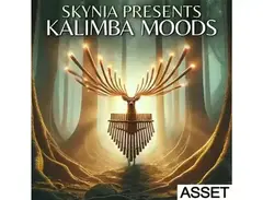 Industrial Strength Skynia - Kalimba Moods â ASSET main image