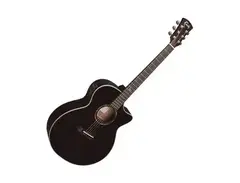 Faith Guitars Eclipse Venus main image