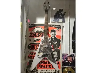 Roger Troutman Custom Flying V