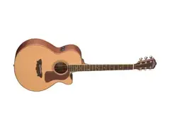 Washburn F52SWCE main image