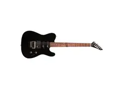 Washburn WT-4V main image