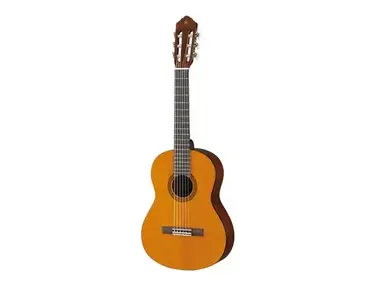 Darren Hippner Special 30th Anniversary Classical Guitar