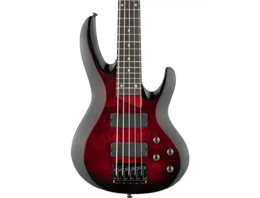 ESP LTD B-205DX 5-string Electric Bass Guitar