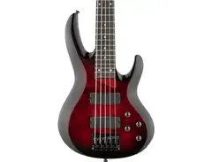 ESP LTD B-205DX 5-string Electric Bass Guitar