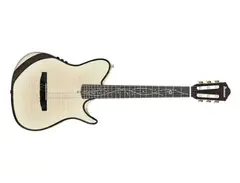 Ibanez TOD100FMN main image
