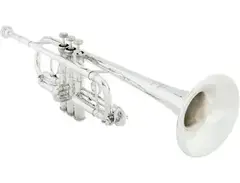 Bach C190SL229X 2025 Professional C Trumpet - Silver Plated main image