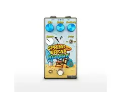 Summer School Electronics Spring Break Reverb