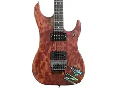 Washburn Nuno Bettencourt N4-Nuno Burl Maple USA Electric Guitar