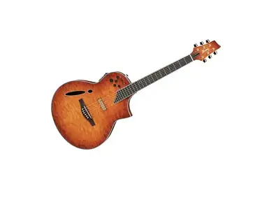 Ibanez Montage