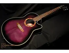 Ibanez AEF18E main image