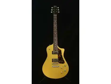 Asher Electro Sonic Gold Top With Tortoise Guard