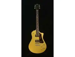 Asher Electro Sonic Gold Top With Tortoise Guard
