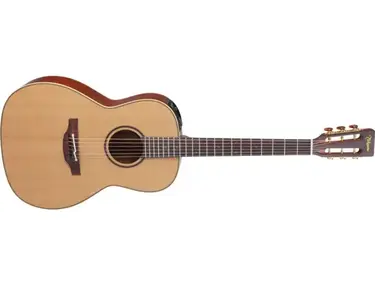 Takamine New Yorker P3NY