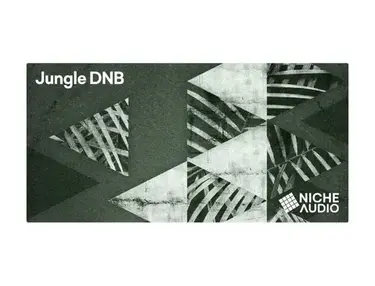 Niche Audio Jungle DNB