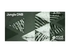 Niche Audio Jungle DNB main image