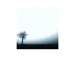 KLANG FREEZE: Infinite Blur for Ableton Live main image