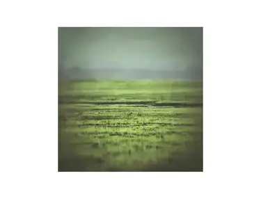 KLANG FREEZE: Tranquil Meadow for Ableton Live