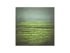 KLANG FREEZE: Tranquil Meadow for Ableton Live main image