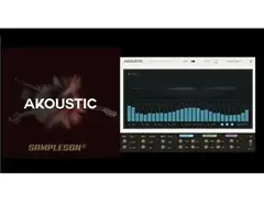 Sampleson Akoustic main image