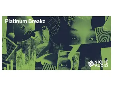 Niche Audio Platinum Breakz