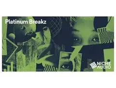 Niche Audio Platinum Breakz main image
