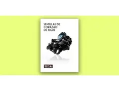 Sounds of the Earth Semillas de Corazao main image