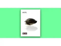 Sounds of the Earth Ayotl main image